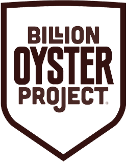 Kings of the desert | Partner